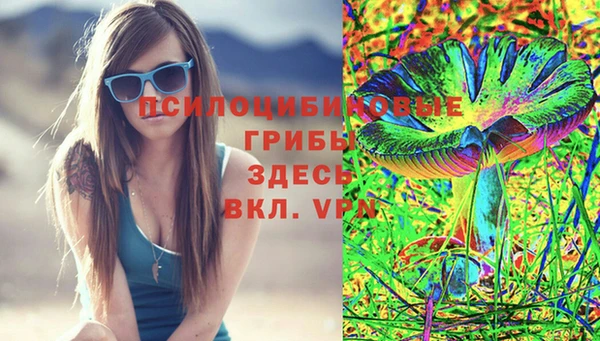 соль курить ск Осинники